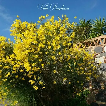 Barbara * Giardini Naxos